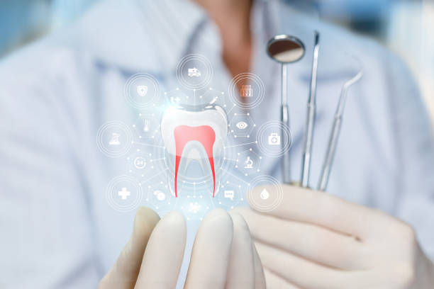 Best Dental Exams and Cleanings  in North Springfield, VA